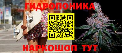 эйфоретик Пушкино